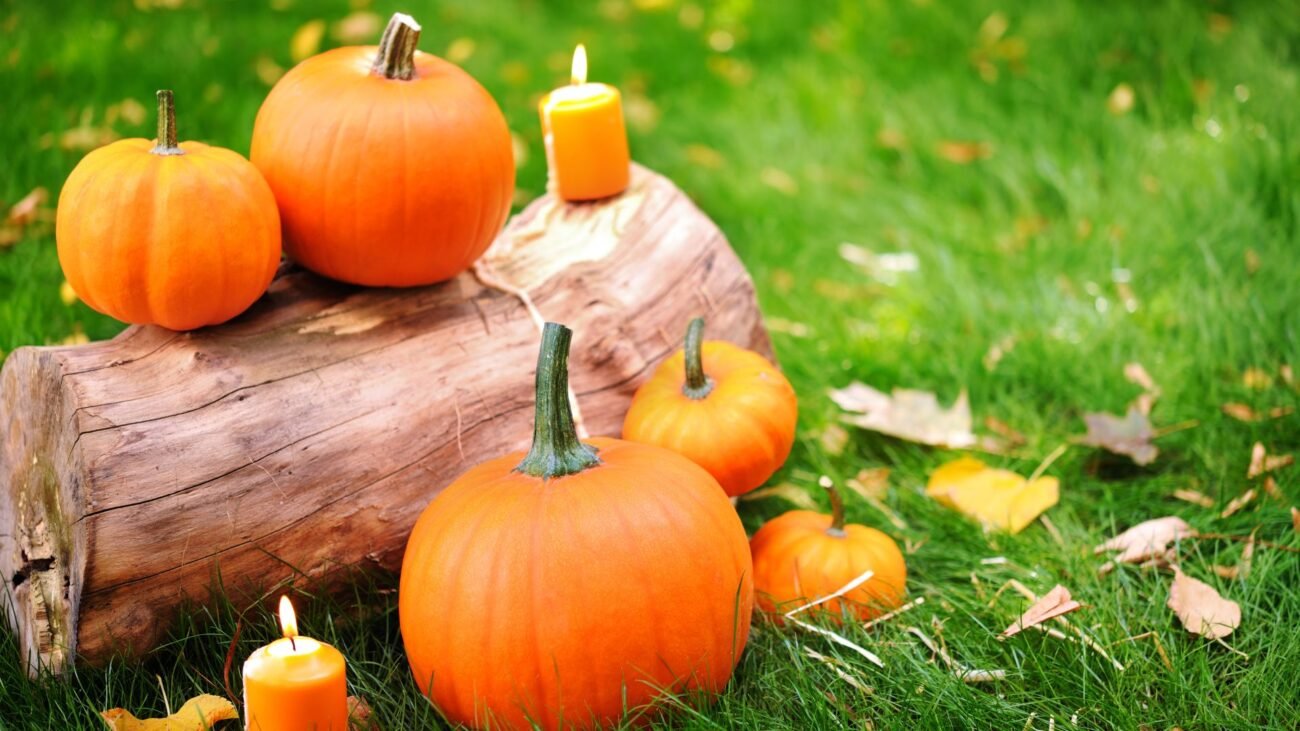 7 Best Pumpkin Decorations for a Beautiful Fall