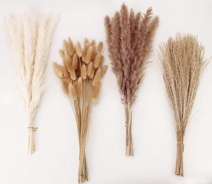 Dried Pampas Grass Decor, 100 PCS Pampas Grass Contains Bunny Tails Dried Flowers, Reed Grass Bouquet for Wedding Boho Flowers Home Table Decor, Rustic Farmhouse Party (White...