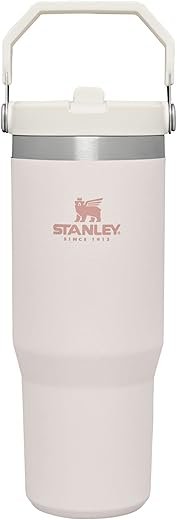 STANLEY IceFlow Stainless Steel Tumbler with Straw, Vacuum Insulated Water Bottle for Home, Office or Car, Reusable Cup with Straw Leak Resistant Flip