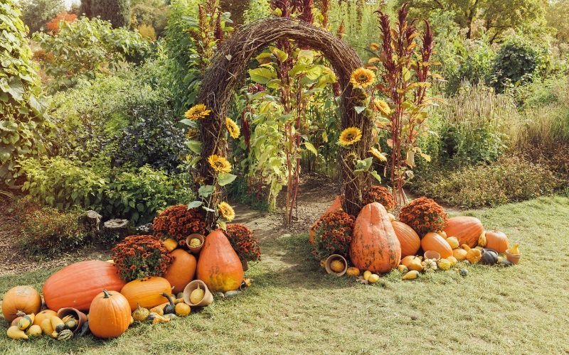 The Best Fall Decor Ideas for a Cozy Home