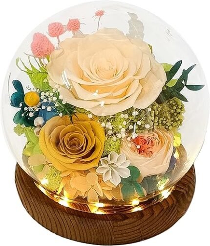 Valley of Rain & Forest Long-Lasting Real Flowers, Unique Floral Gift For you to send Love for All Occasions, for Indoor Decoration (Champagne Rose, Yellow Rose, Yellow Austin...