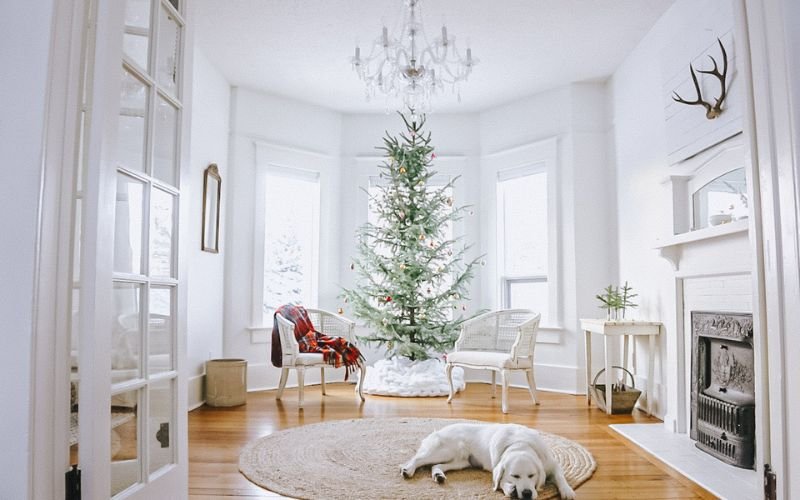 Christmas Tree Decorating Ideas