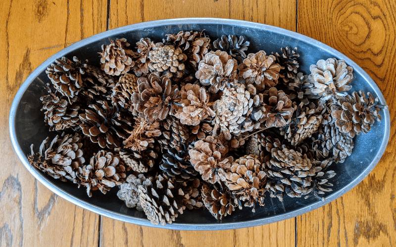 DIY Scented Pinecones 